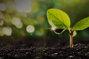Environnement